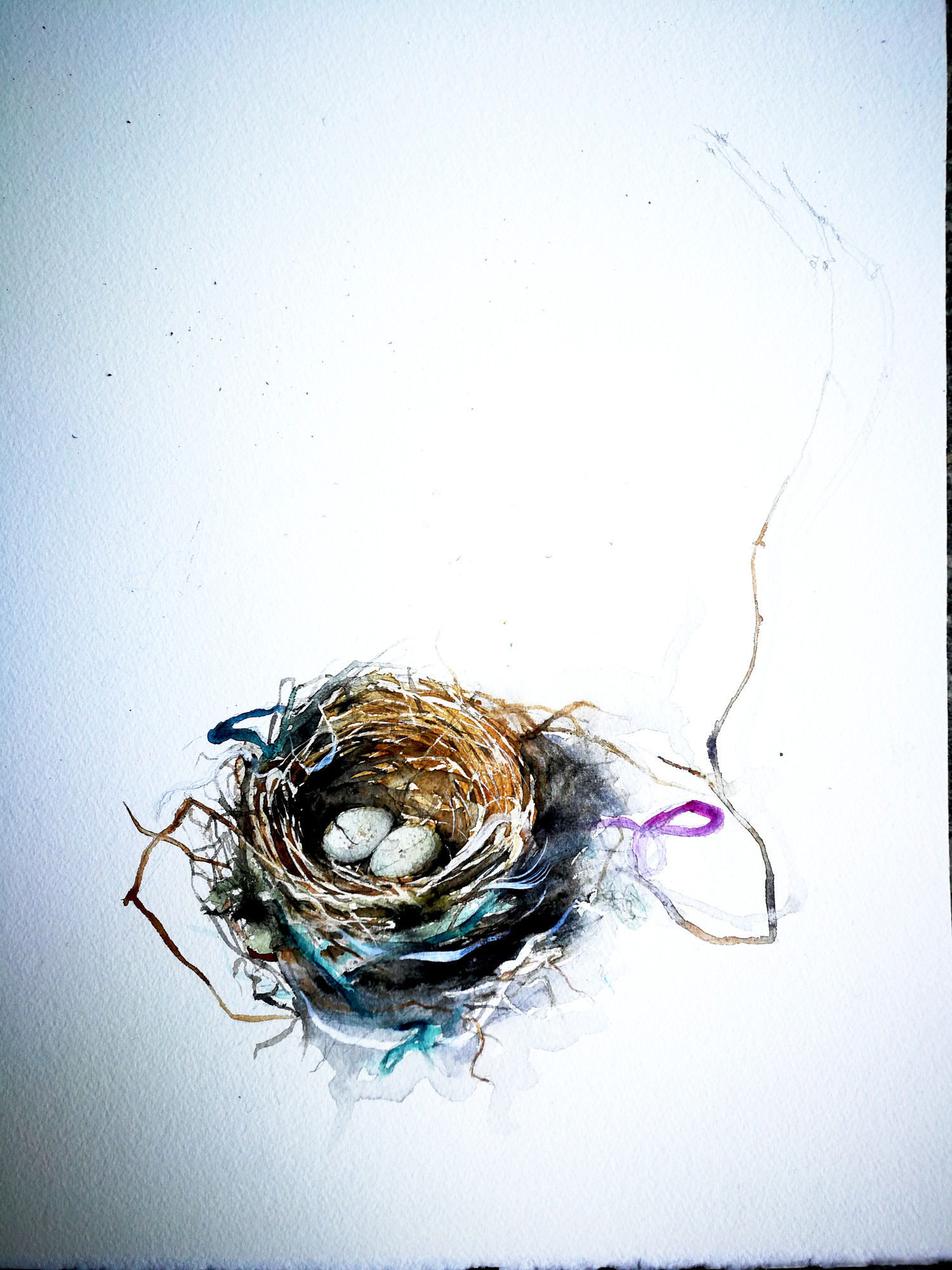nest with ribbons