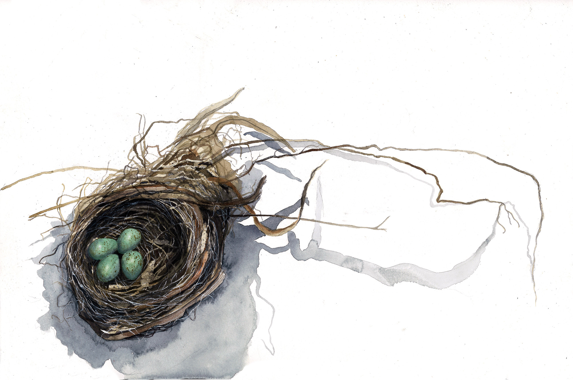 blackbird's nest 